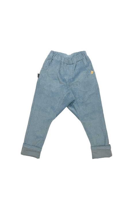 177-23 CORDUROY PANTS / BLUE