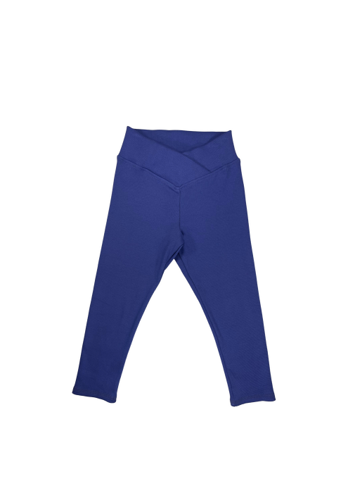 053-24 " HIGH WAIST LEGGINGS / VIOLET"